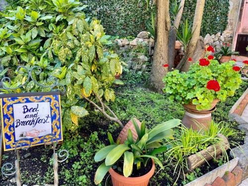 Bed and Breakfast La Panoramica - Ingresso Giardino