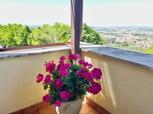 Bed and Breakfast La Panoramica - Terrazza