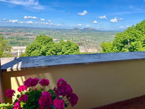 Bed and Breakfast La Panoramica - Terrazza