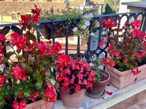 Bed and Breakfast Villa d'Este - Terrazzo